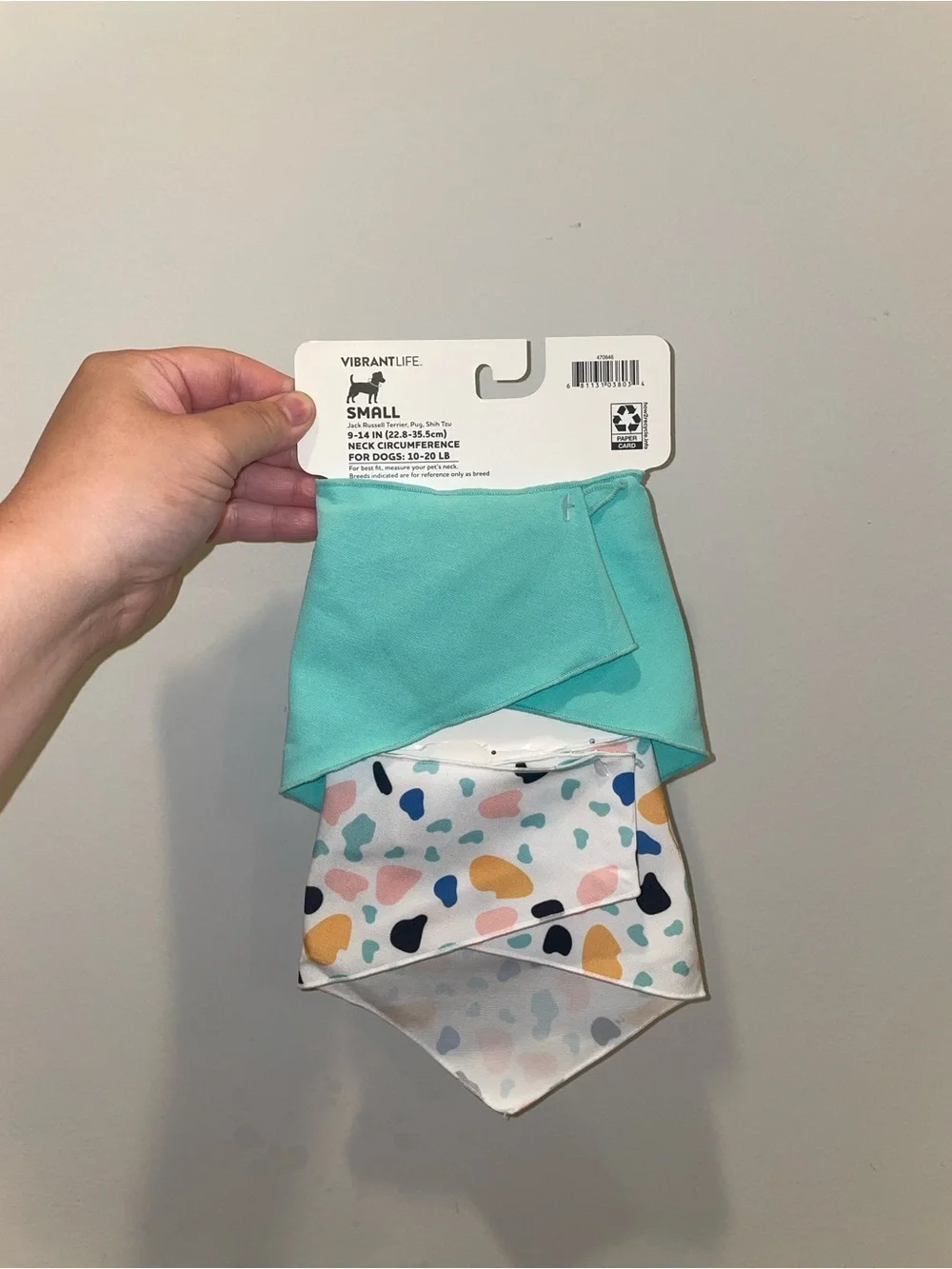 New Dog Bandana Set